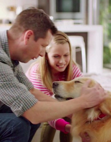 petcomfort